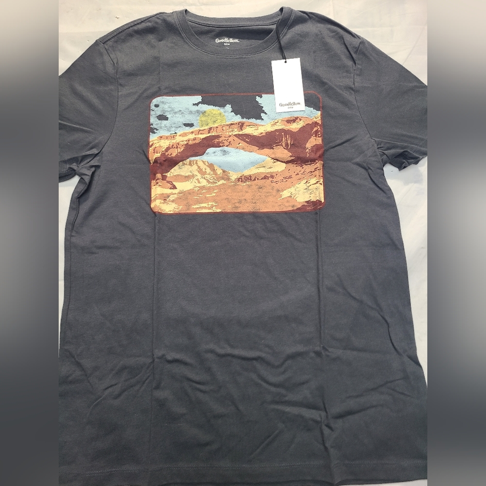 Men's Landscape Print Short SleeveGraphic T-Shirt Goodfellow & Co Charcoal